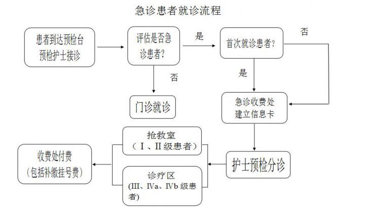 急诊患者就诊流程1.jpg